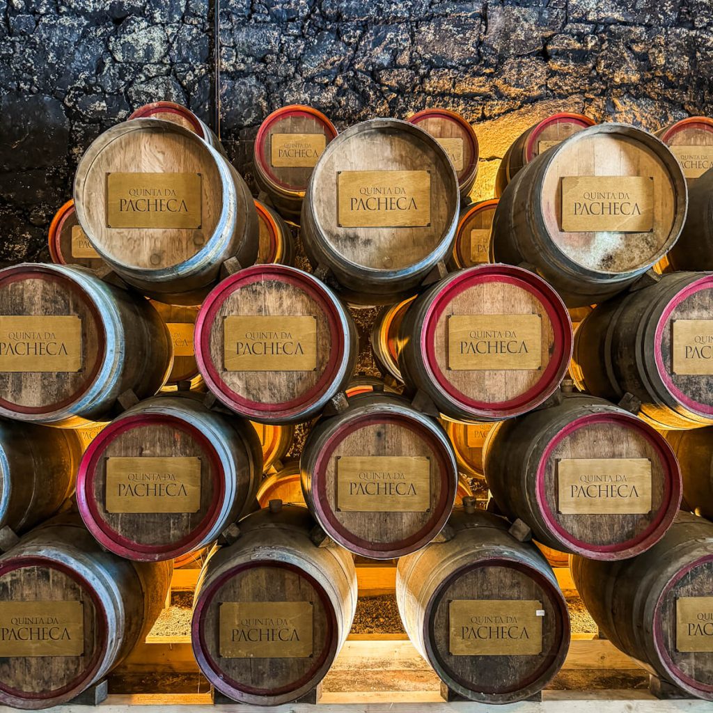 Rows of wine barrels at Quinta da Pacheca in Douro Valley, portugal